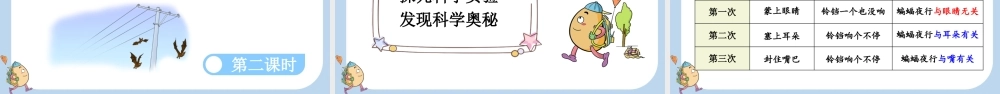 6 夜间飞行的秘密【新课标版】.pptx