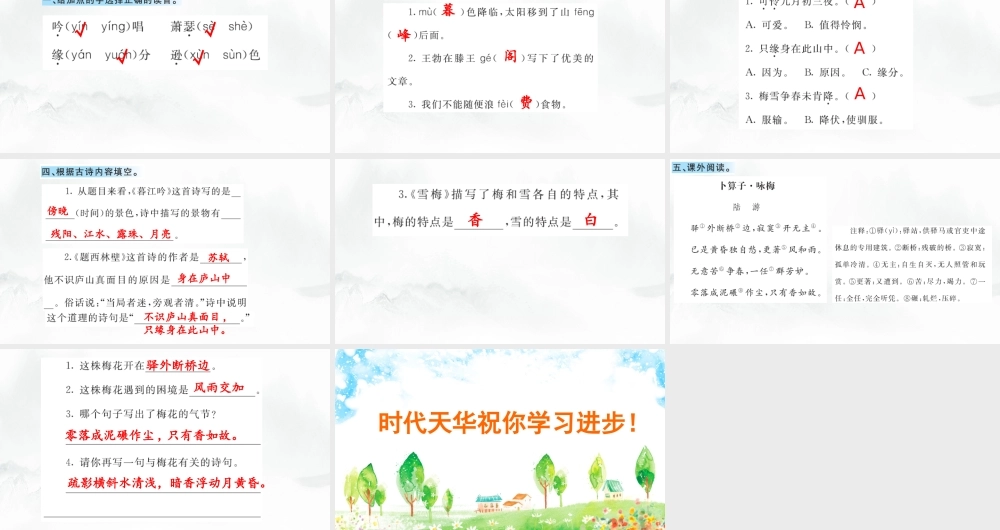9 古诗三首 课课练.pptx