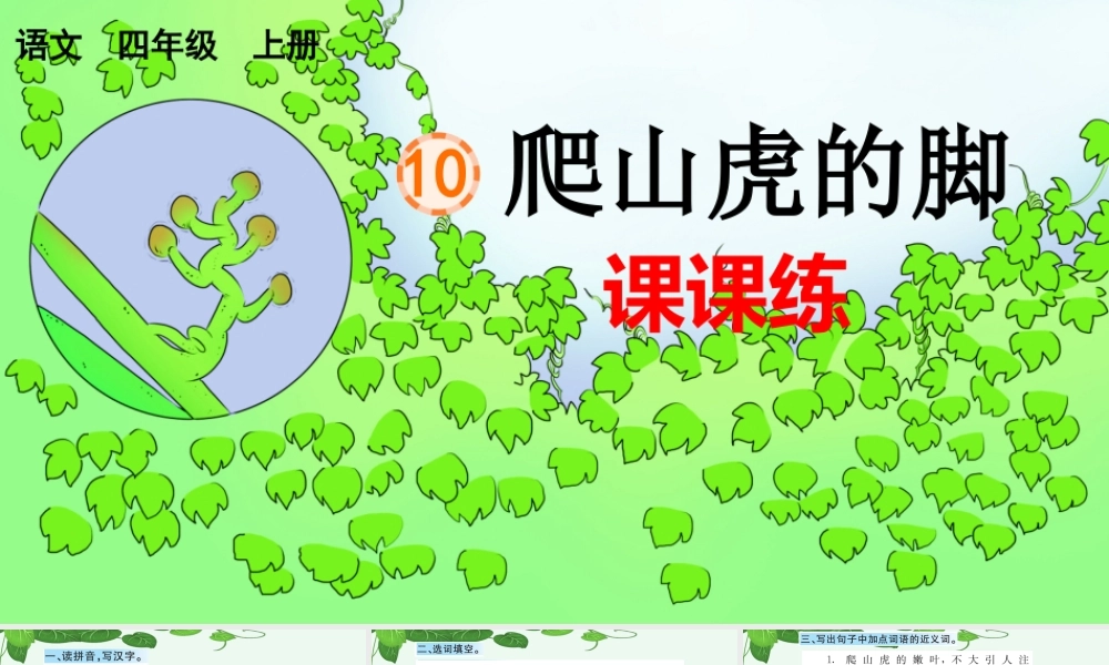 10 爬山虎的脚 课课练.pptx