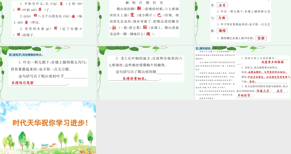 10 爬山虎的脚 课课练.pptx
