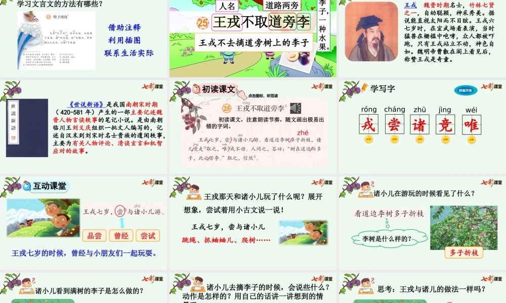 25 王戎不取道旁李【精华版】.pptx