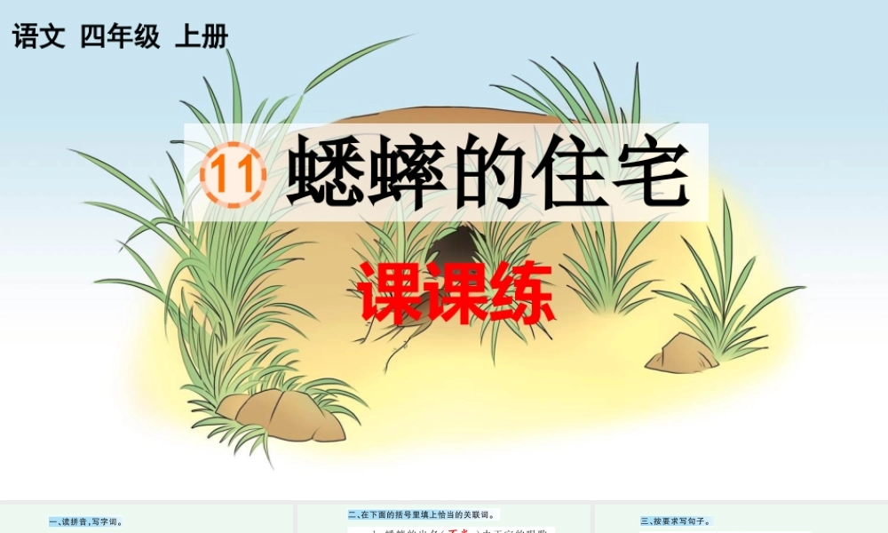 11 蟋蟀的住宅 课课练.pptx