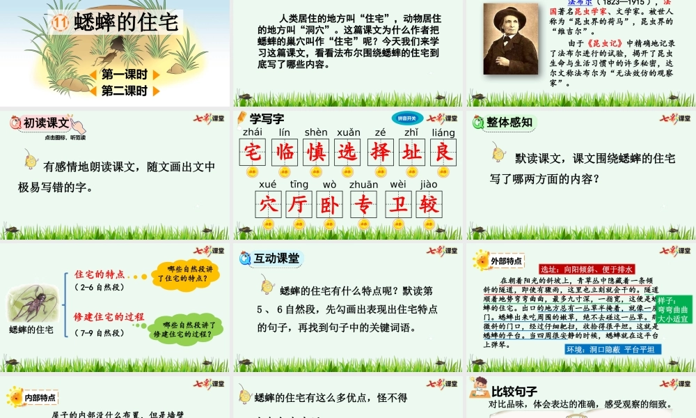 11 蟋蟀的住宅【精华版】.pptx