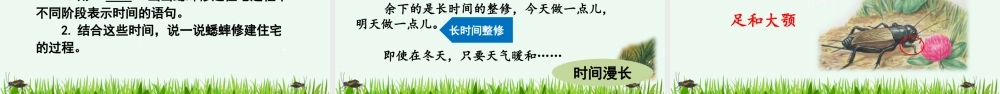 11 蟋蟀的住宅【精华版】.pptx