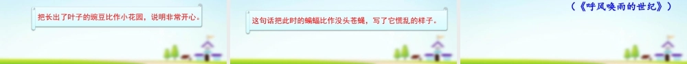 第二单元复习.pptx