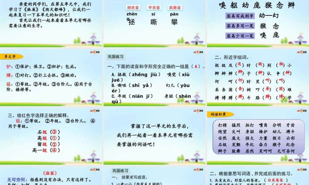 第五单元复习.pptx