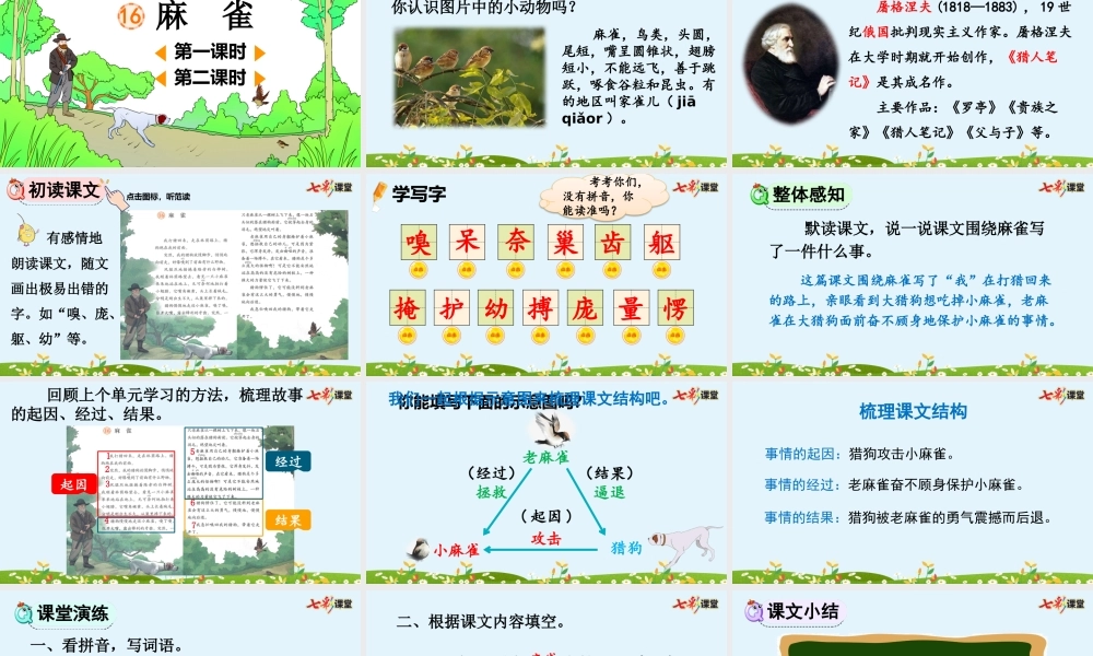 16 麻雀【精华版】.pptx