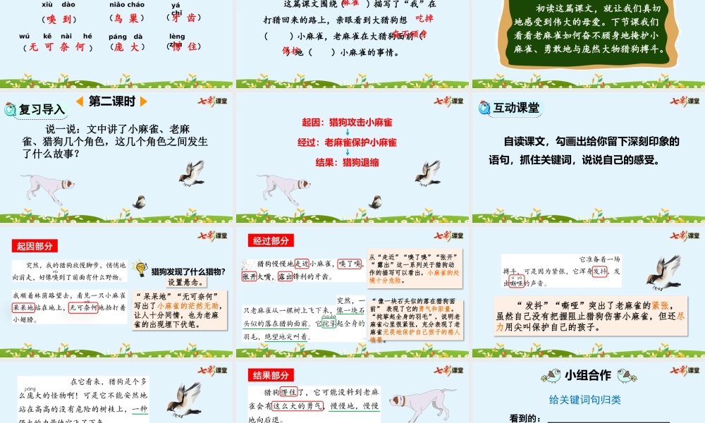 16 麻雀【精华版】.pptx