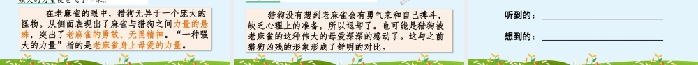 16 麻雀【精华版】.pptx