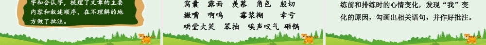 19 一只窝囊的大老虎【优质版】.pptx