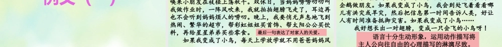 专项9：习作指导复习课件.pptx