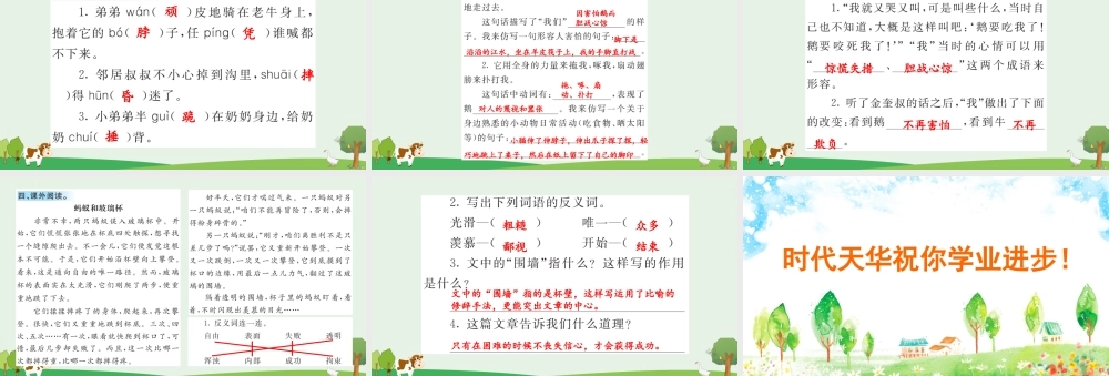 18 牛和鹅 课课练.pptx