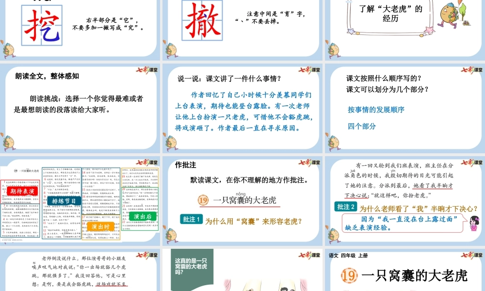 19 一只窝囊的大老虎【新课标版】.pptx
