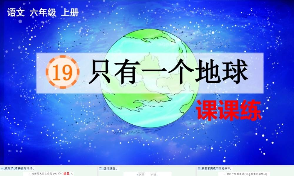 19 只有一个地球 课课练.pptx