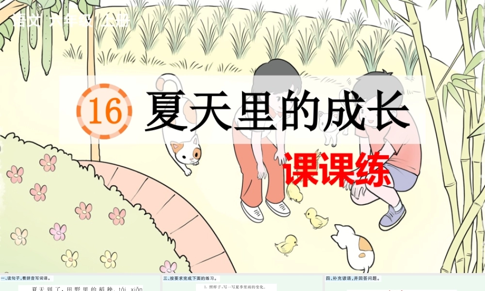 16 夏天里的成长 课课练.pptx