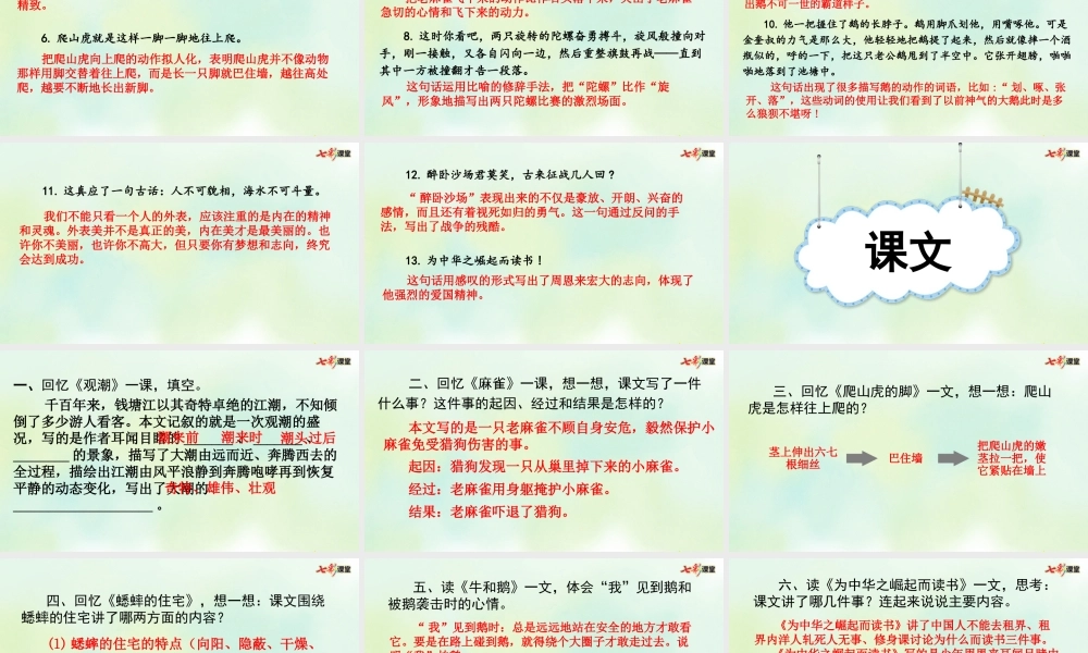 专项5：课文知识点复习课件(1).pptx