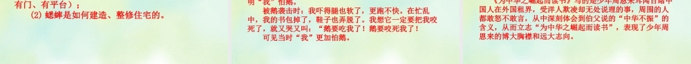 专项5：课文知识点复习课件(1).pptx