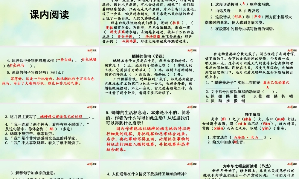 专项7：阅读指导复习课件(1).pptx