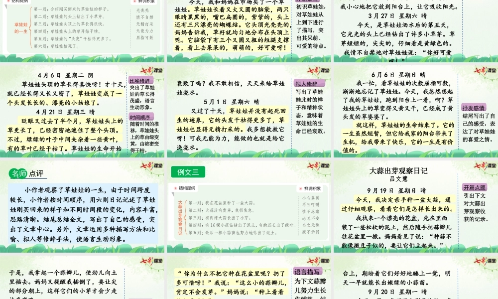 习作：写观察日记（范文+点评+升格）.pptx