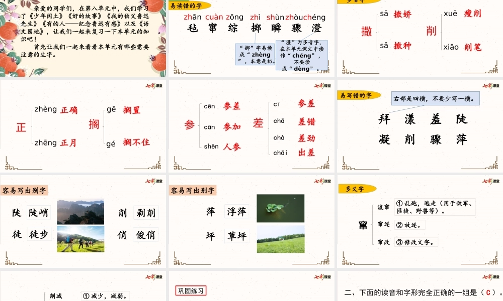 第八单元复习课件.pptx