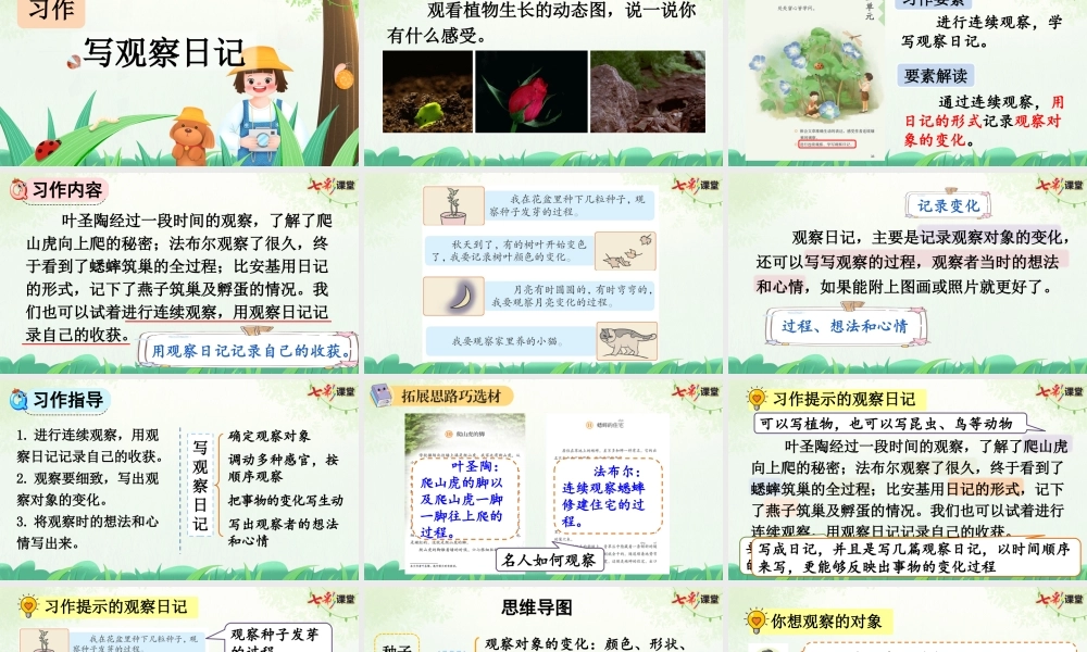 习作：写观察日记【上课课件优质版】.pptx