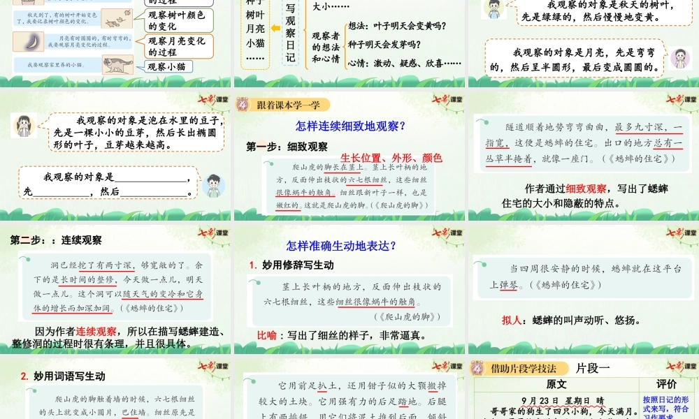 习作：写观察日记【上课课件优质版】.pptx