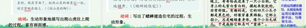 习作：写观察日记【上课课件优质版】.pptx