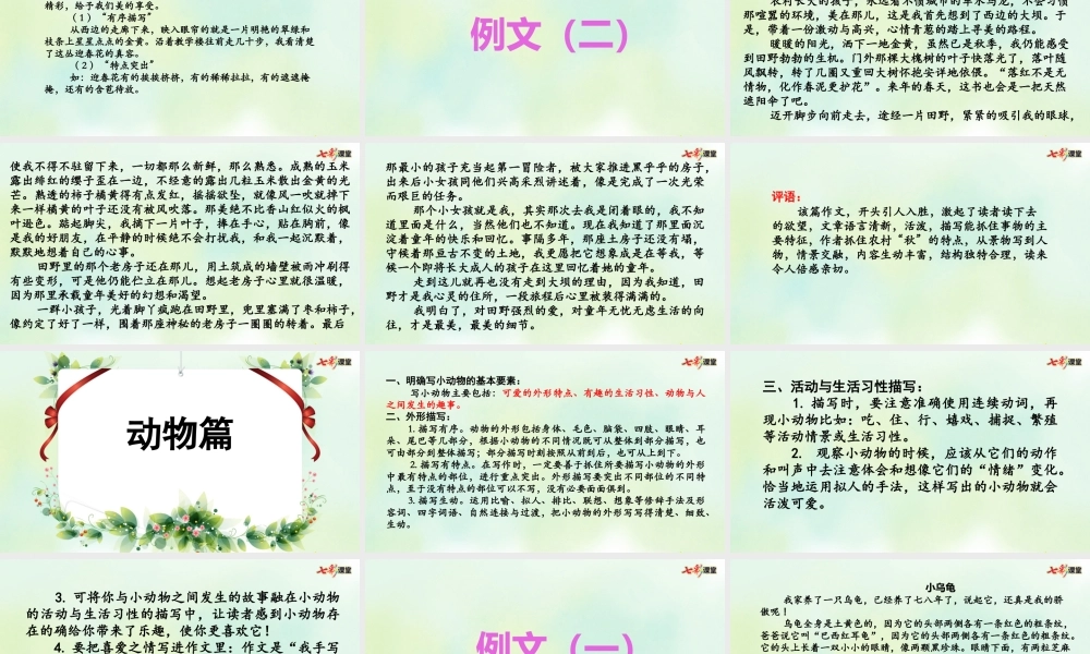专项9：习作指导复习课件(1).pptx