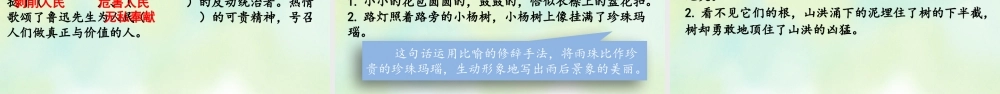 专项5：课文知识点复习课件.pptx