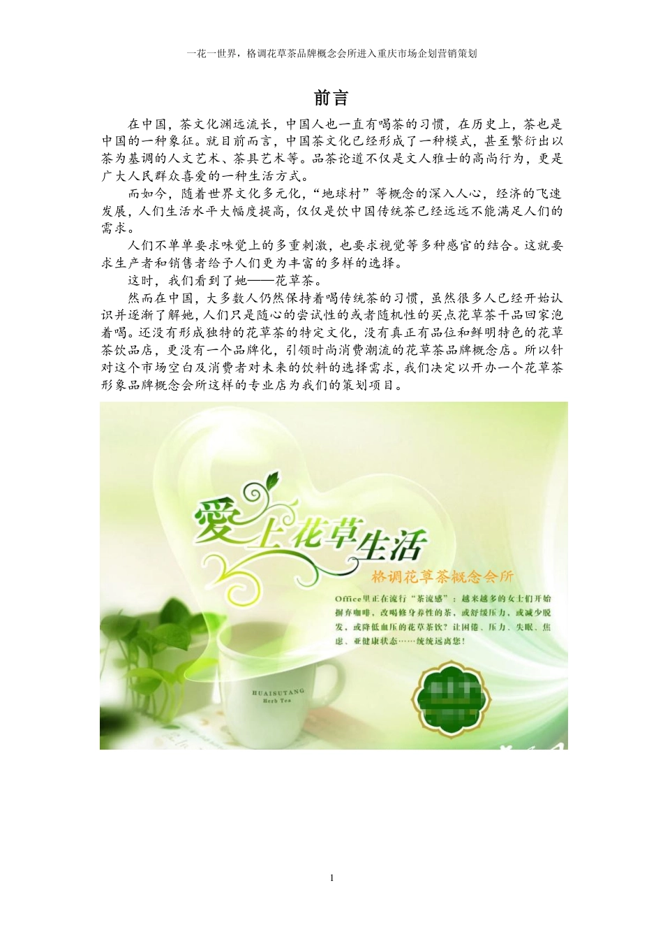格调花草茶品牌营销策划方案.pdf_第2页