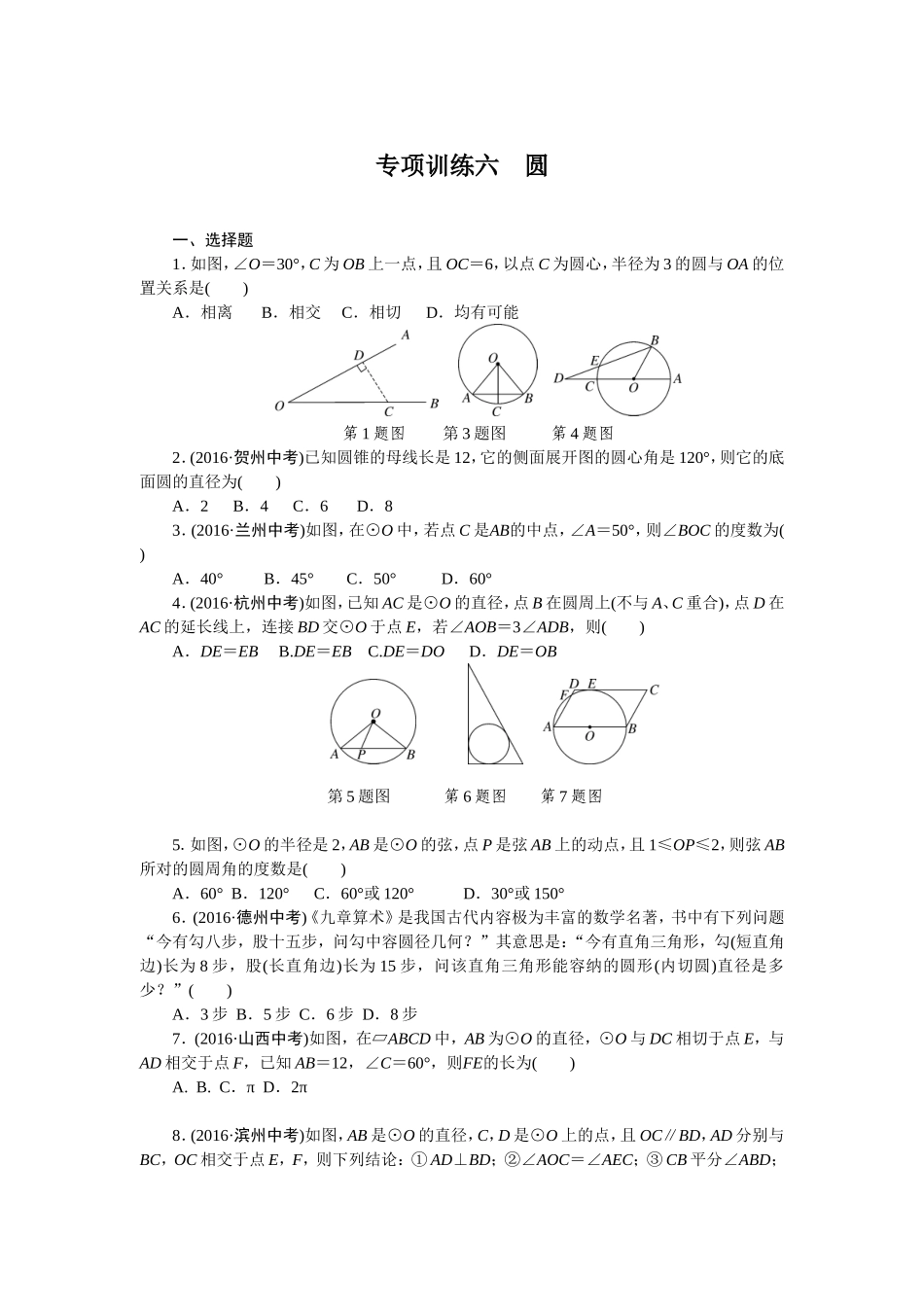 专项训练六　圆.doc_第1页