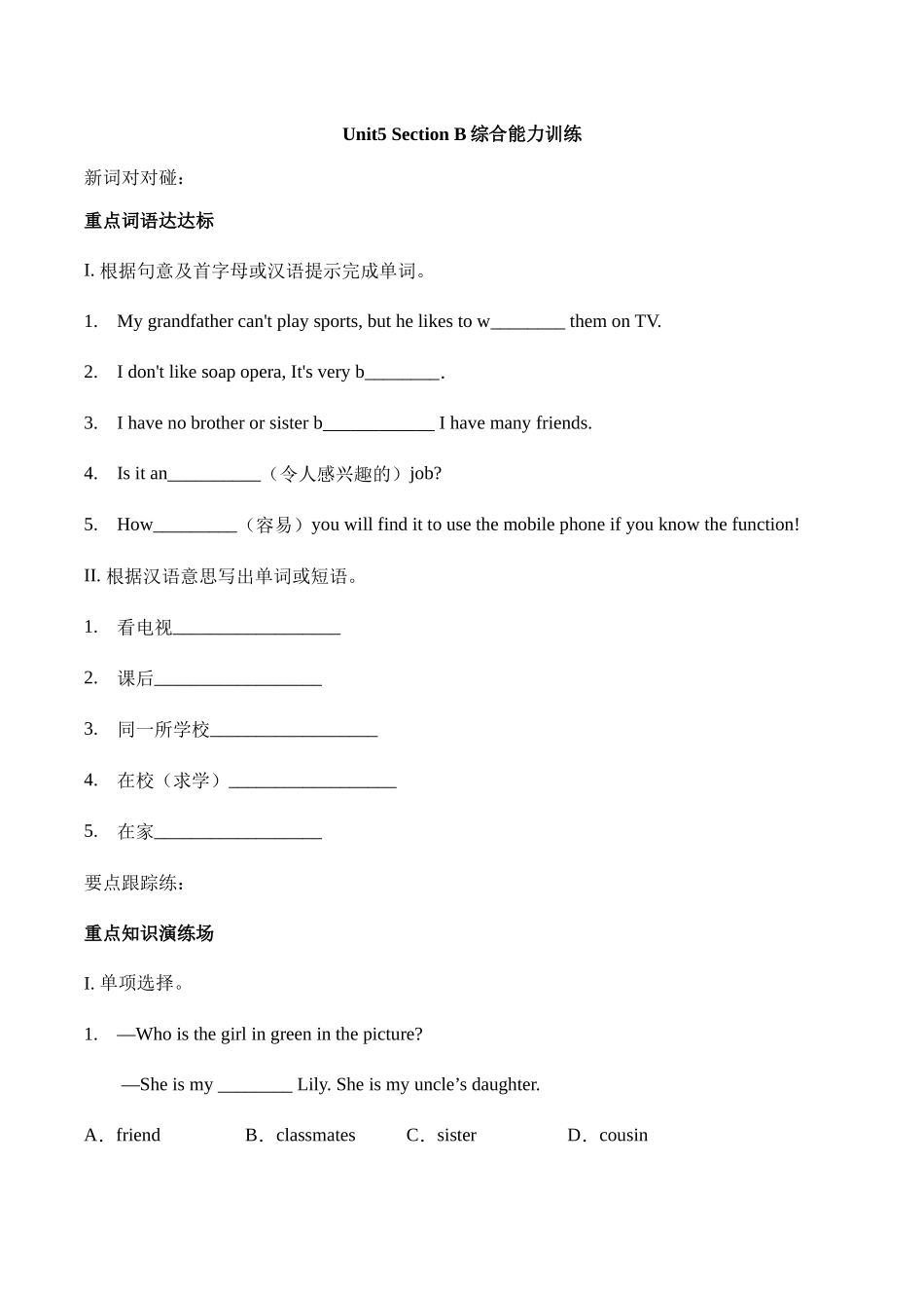 Unit 5 Do you have a soccer ball？section B综合能力训练 人教版英语七年级上册（有答案） .doc_第1页