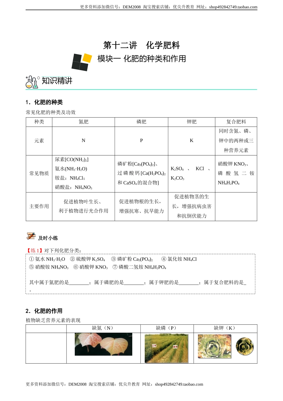 第12讲 化学肥料（原卷版）.docx_第1页