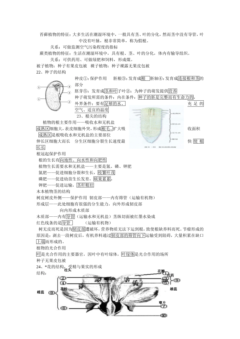 七年级生物上册复习资料.doc_第3页