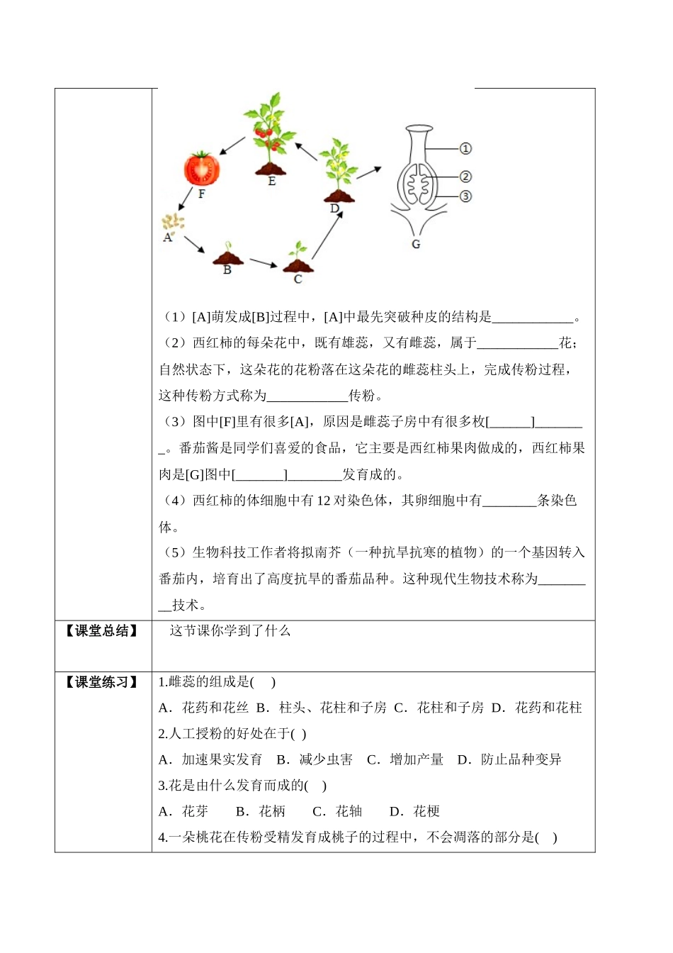 3.2.3 开花和结果（学案）-2022-2023学年七年级生物上册同步优质备课资源（人教版）.docx_第3页