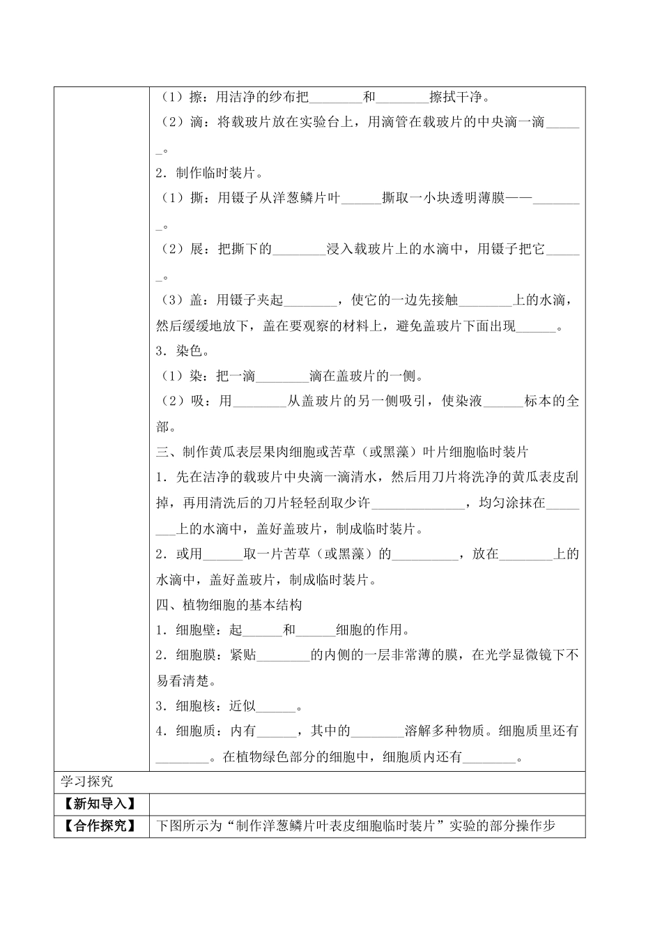 2.1.2 植物细胞（学案）-2022-2023学年七年级生物上册同步优质备课资源（人教版）.docx_第2页