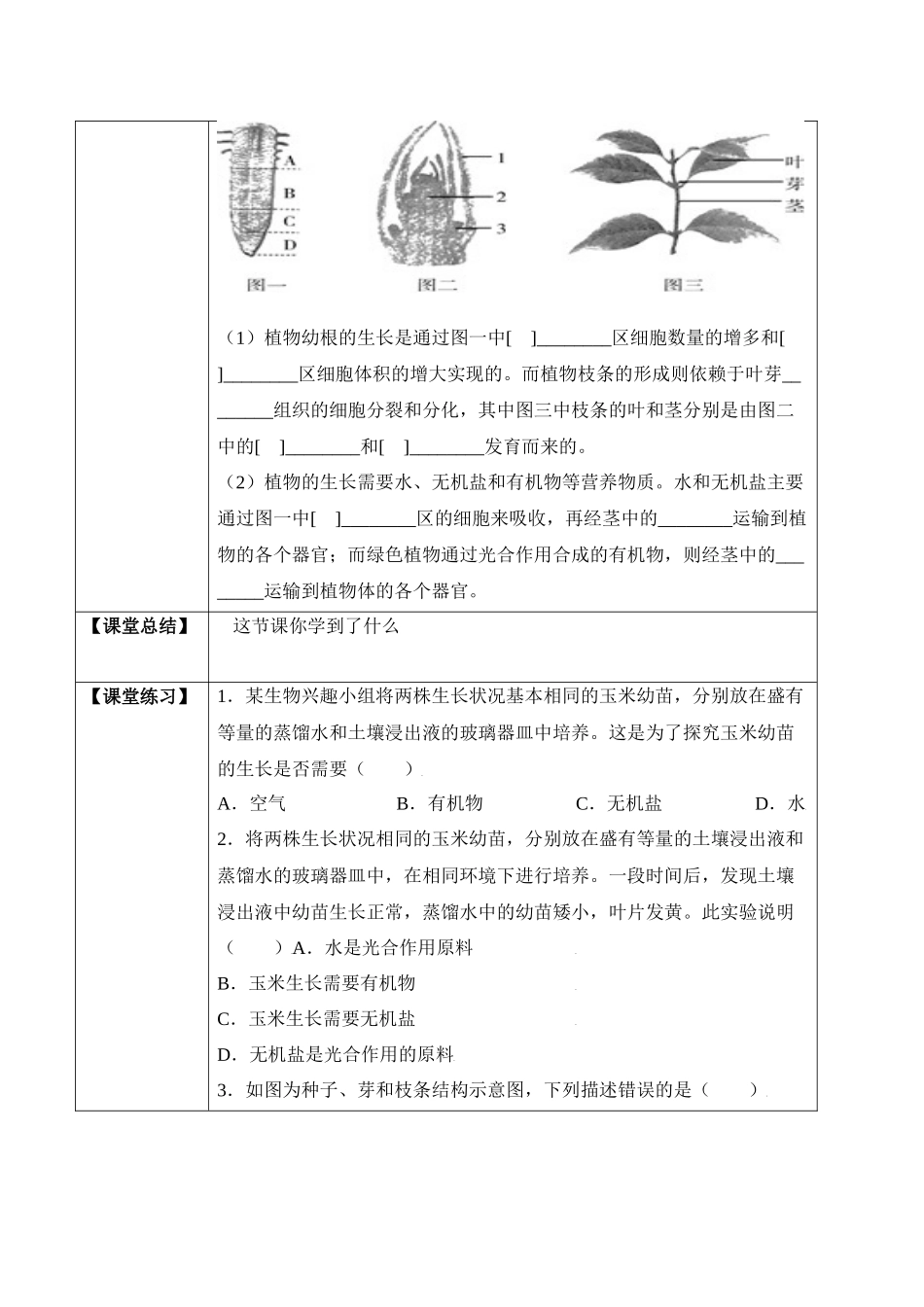 3.2.2 植株的生长（学案）-2022-2023学年七年级生物上册同步优质备课资源（人教版）.docx_第2页