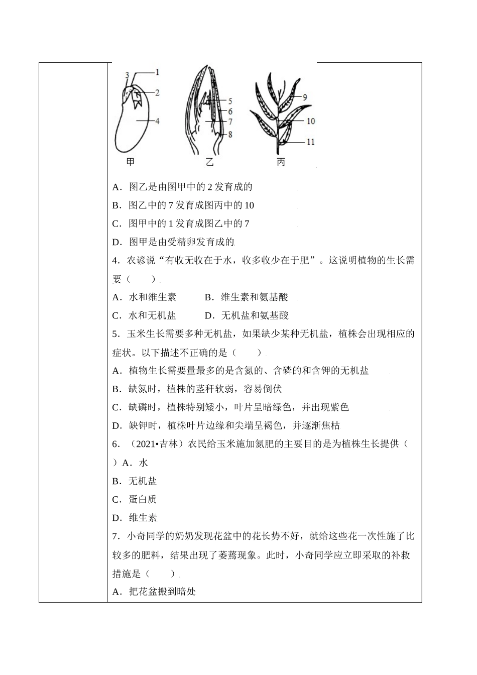 3.2.2 植株的生长（学案）-2022-2023学年七年级生物上册同步优质备课资源（人教版）.docx_第3页