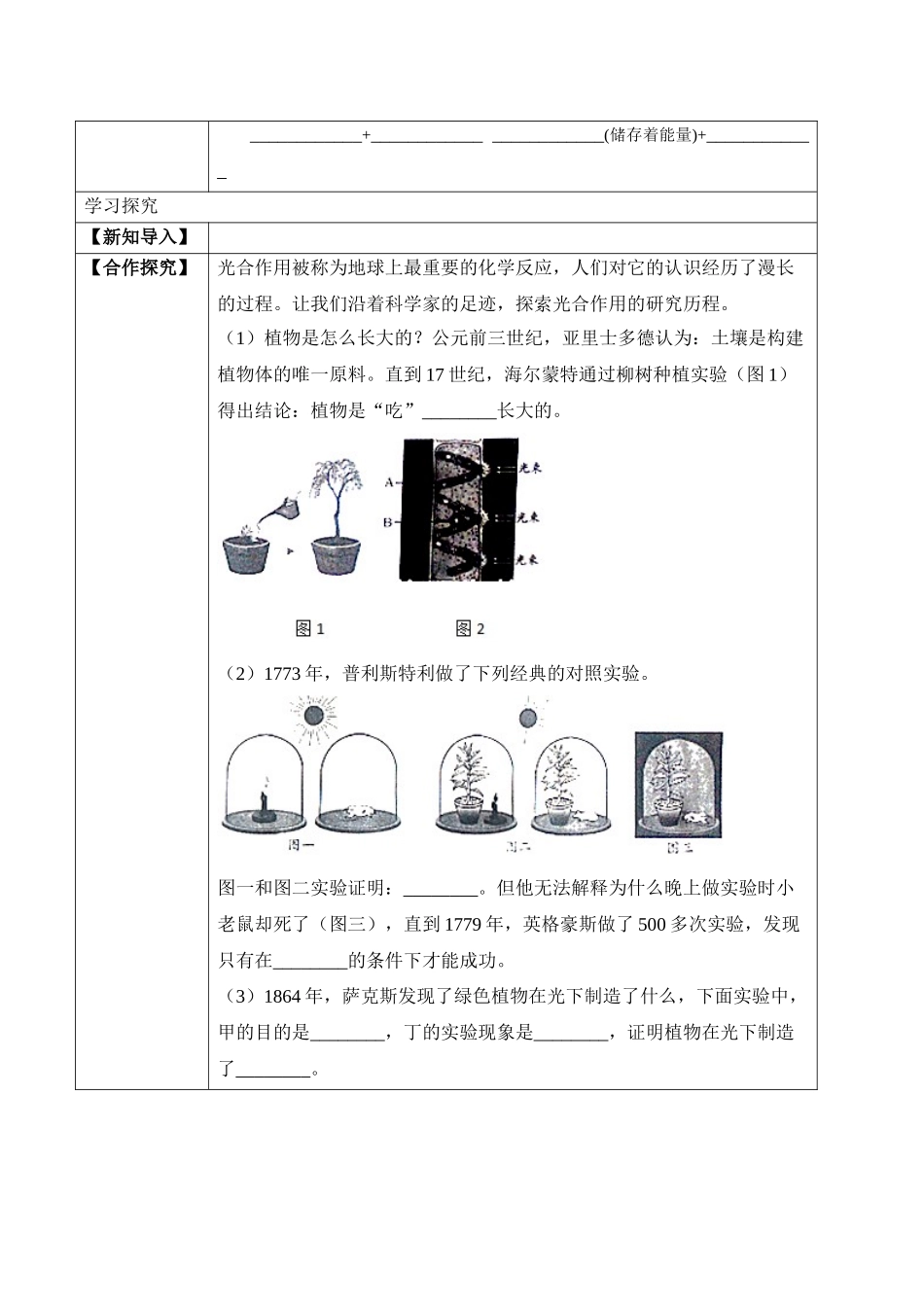 3.5.1 光合作用吸收二氧化碳释放氧气（学案）-2022-2023学年七年级生物上册同步优质备课资源（人教版）.docx_第2页
