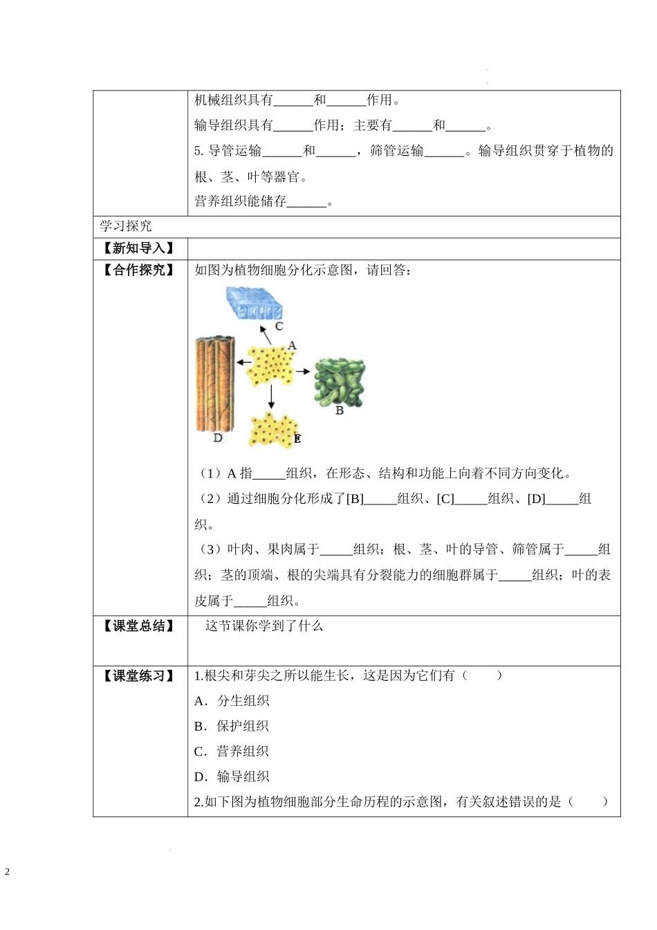 2.2.3 植物体的结构层次（学案）-2022-2023学年七年级生物上册同步优质备课资源（人教版）.docx_第2页
