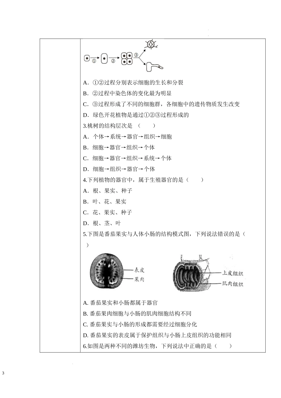 2.2.3 植物体的结构层次（学案）-2022-2023学年七年级生物上册同步优质备课资源（人教版）.docx_第3页