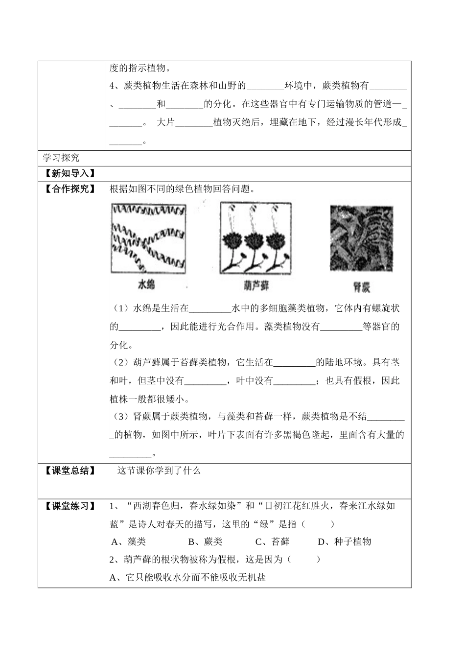 3.1.1 藻类、苔藓和蕨类植物（学案）-2022-2023学年七年级生物上册同步优质备课资源（人教版）.docx_第2页
