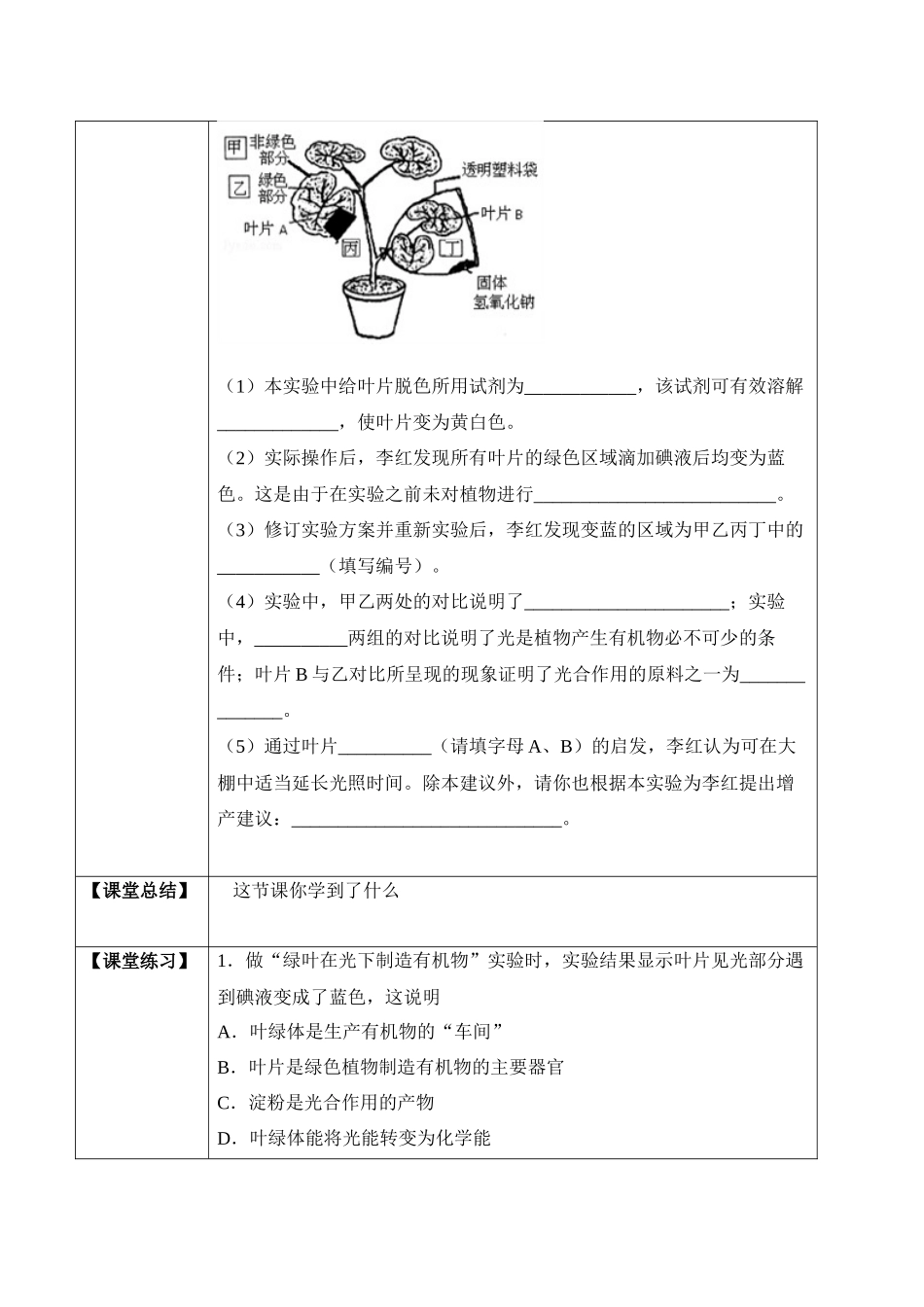 3.4 绿色植物是生物圈中有机物的制造者（学案）-2022-2023学年七年级生物上册同步优质备课资源（人教版）.docx_第3页