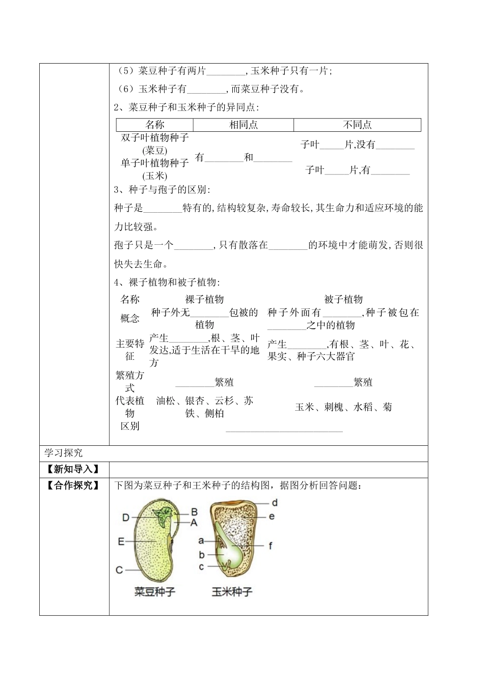 3.1.2 种子植物（学案）-2022-2023学年七年级生物上册同步优质备课资源（人教版）.docx_第2页