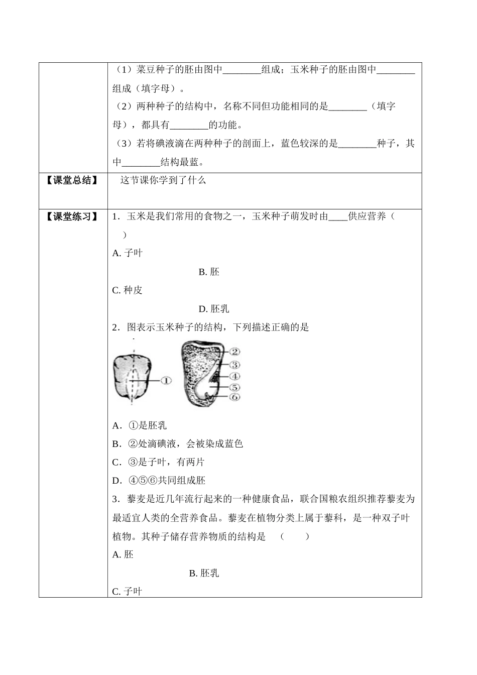 3.1.2 种子植物（学案）-2022-2023学年七年级生物上册同步优质备课资源（人教版）.docx_第3页