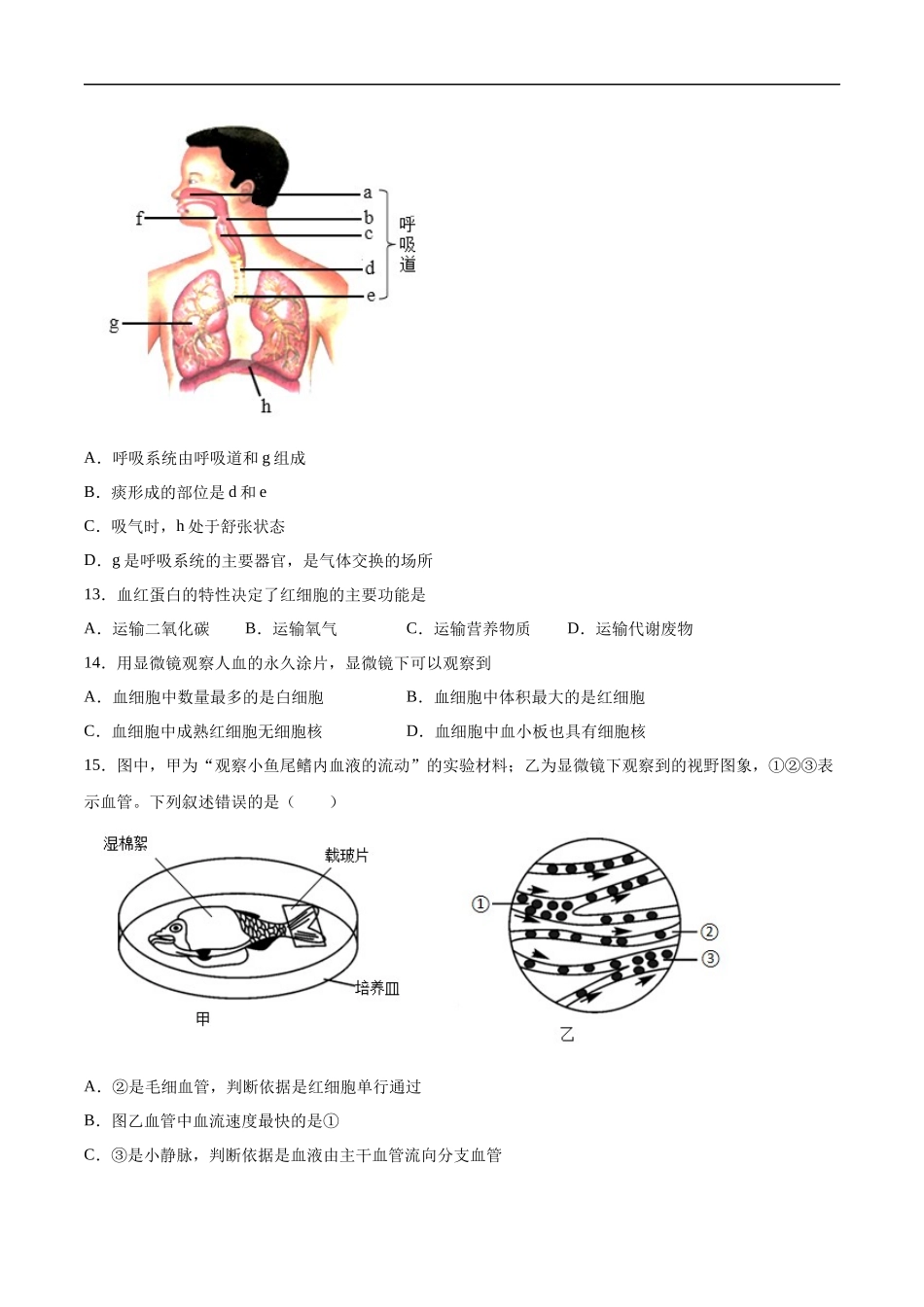 2020-2021学年七年级生物下学期期末仿真模拟冲刺卷（人教版）01（原卷版）.docx_第3页