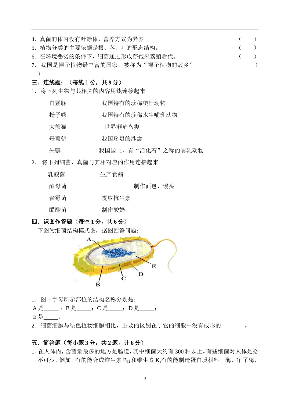 期末测试题5 （含答案）.doc_第3页
