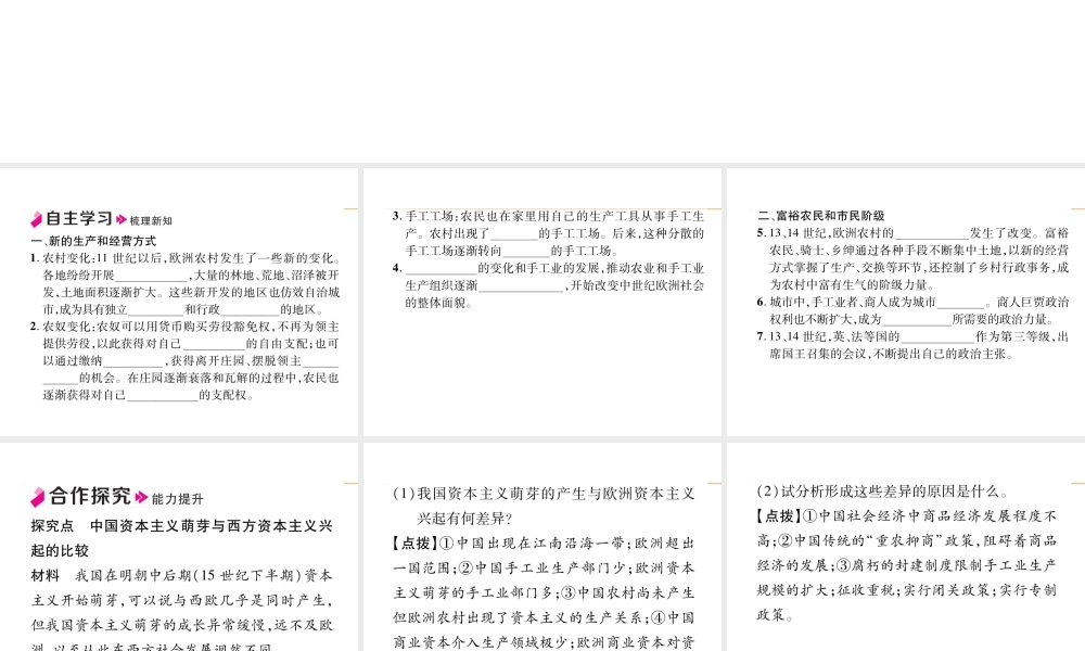 第13课 西欧经济和社会的发展.ppt