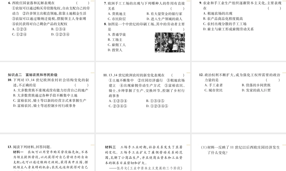 第13课 西欧经济和社会的发展.ppt