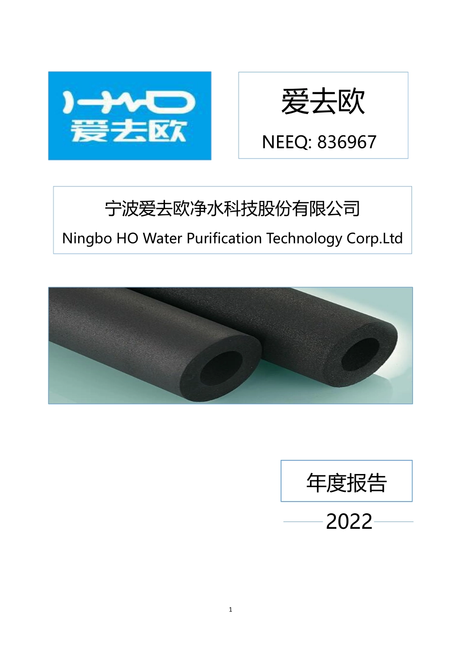 836967_2022_爱去欧_2022年年度报告_2023-04-20.pdf_第1页